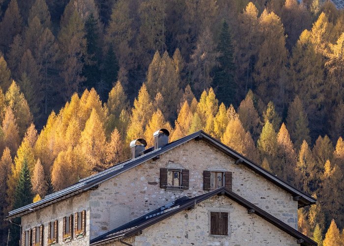 Vigo di Cadore photo