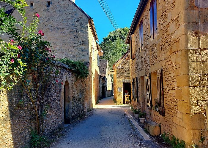 Saint-Leon-sur-Vezere photo