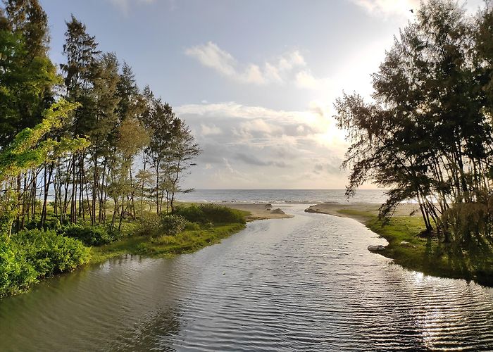 Alappuzha photo