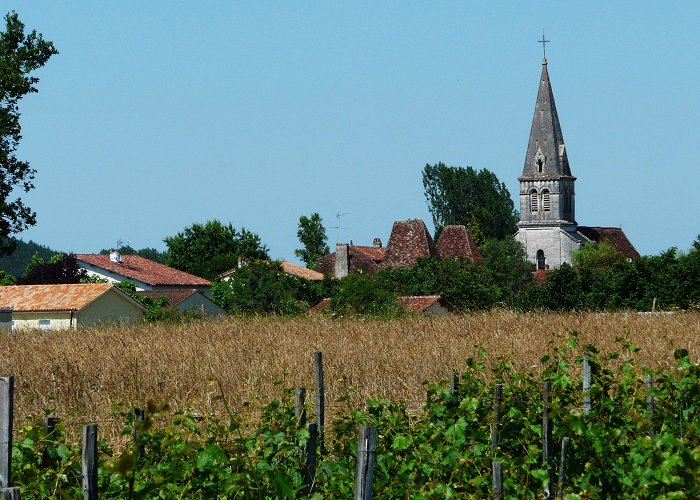 Antonne-et-Trigonant photo