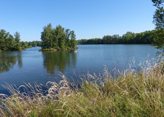 Fenouillet (Haute-Garonne) photo