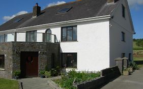 Alltyfyrddin Farm Guest House At The Merlin'S Hill Centre Carmarthen Exterior photo