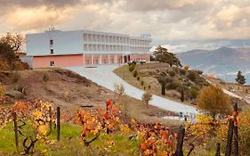 Placido Hotel Douro - Tabuaço Exterior photo