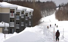 Ski-In, Ski-Out Chaleureux Studio Loft Au Pied Des Pistes De Ski Apartamento Stoneham Exterior photo
