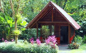 Arenal Oasis Eco Lodge & Wildlife Refuge La Fortuna Exterior photo