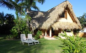 Palm-Covered House In The Tropical -Casa Oli Villa Las Galeras Exterior photo