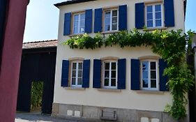 Hotel Gaestehaus & Weingut Gehrig Weisenheim am Sand Exterior photo