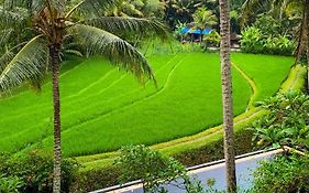 Umasari Rice Terrace Villa Selemadeg Exterior photo