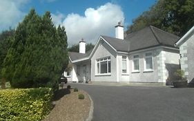 Launard House Bed and Breakfast Kilkenny Exterior photo