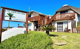 Cycads On Sea Guest House St Francis Bay Exterior photo