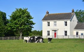 Glascoed Farmhouse Bed and Breakfast Carmarthen Exterior photo