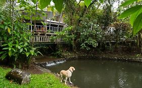 Rancho Margot Sustainable&Self Sufficient Eco Lodge El Castillo Exterior photo