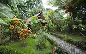 Azania Bungalows Puerto Viejo de Talamanca Exterior photo