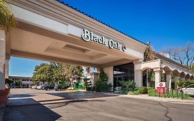 Hotel Best Western Plus Black Oak El Paso de Robles Exterior photo