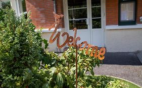 Logis - Hotel Restaurant Du Canard Hangest-sur-Somme Exterior photo