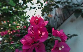 Oh Battambang Boutique Hotel Exterior photo