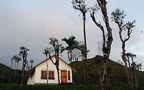 Hotel Tea Terrace Vythiri Wayanad Exterior photo