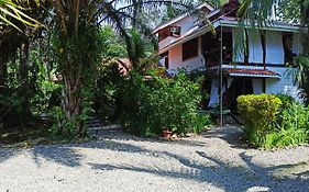 Apartamento El Chilamate Puerto Viejo de Talamanca Exterior photo