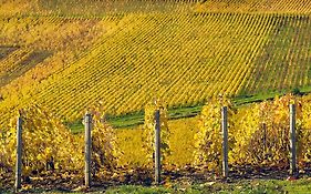 Hotel Best Western Le Relais Du Vigneron Blancs-Coteaux Exterior photo