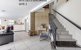 Les 3 Edelweiss - Gite 1 Ou Gite 2 Villa Arette Exterior photo