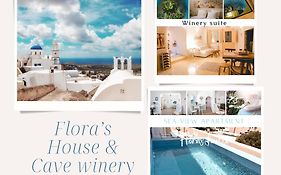 Flora'S House & Cave Winery Villa Pyrgos Kallistis Exterior photo