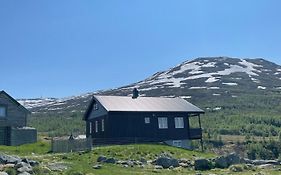 Apartamento Bjorgo Gard - Stegastein Aurland Exterior photo