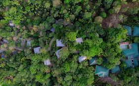 Hotel The Hive, Wayanad Exterior photo