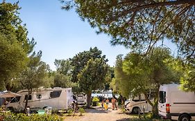 Hotel Maistra Camping Amarin Pitches Rovinj Exterior photo