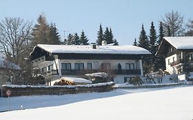 Hotel Gaestehaus Am Berg Bayerisch Eisenstein Exterior photo