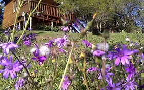 A Stone'S Throw Accommodation Grahamstown Exterior photo