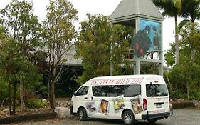 Daintree Wild Bed & Breakfast Bed and Breakfast Exterior photo