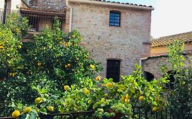 Hotel La Vieille Demeure Torreilles Exterior photo