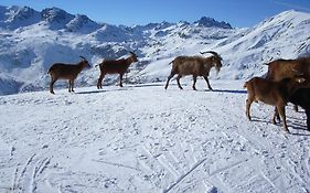 Chambre D'Hotes Kiki & Coco Bed and Breakfast Saint-Jean-de-Maurienne Exterior photo