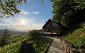 Green Cottage Rîşnov Exterior photo