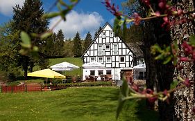 Hotel Forellenhof Wald- Und Wiesenquartier Bad Berleburg Exterior photo