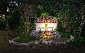 Pineapple Fields Aparthotel Governor S Harbour Exterior photo