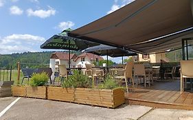 Hotel Auberge Du Chateau De Joux La Cluse-et-Mijoux Exterior photo