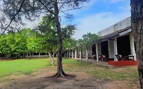 New White Sand Beach Hotel Nilaveli Exterior photo