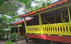 El Jardin de Playa Negra Villa Puerto Viejo de Talamanca Exterior photo