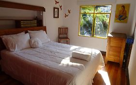 Rivendell Bed and Breakfast Viña del Mar Room photo