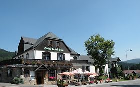 Hotel Lesní dům Janské Lázně Exterior photo