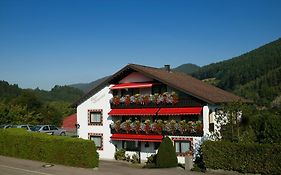 Hotel Haus Bergwiese Baiersbronn Exterior photo