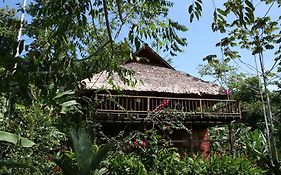 La Ceiba Reserva Natural Villa Puerto Viejo de Talamanca Exterior photo