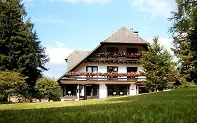 Gästehaus Behabühl B&B Feldberg  Exterior photo