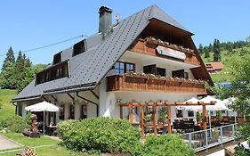 Hotel&Restaurant Grüner Baum - Die Grüne Oase Am Feldberg Feldberg  Exterior photo