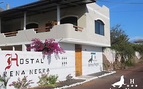 Apartamento Hostal Arena Negra Puerto Ayora  Exterior photo