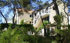 Villa Welcome Vrboska Exterior photo