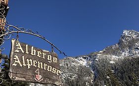 Albergo Alpenrose Gressoney-Saint-Jean Exterior photo