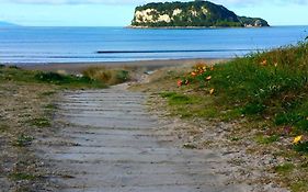 Whangamata Beach House Bed and Breakfast Exterior photo