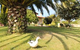 Casa Torreteyera Bed and Breakfast Villaviciosa  Exterior photo